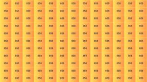 Hidden Number 828