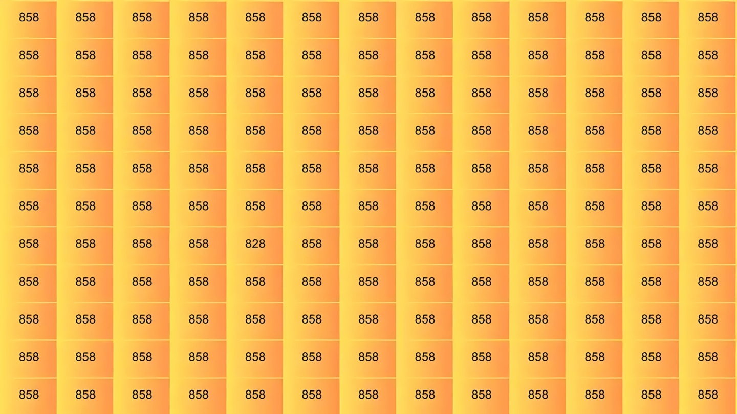 Hidden Number 828