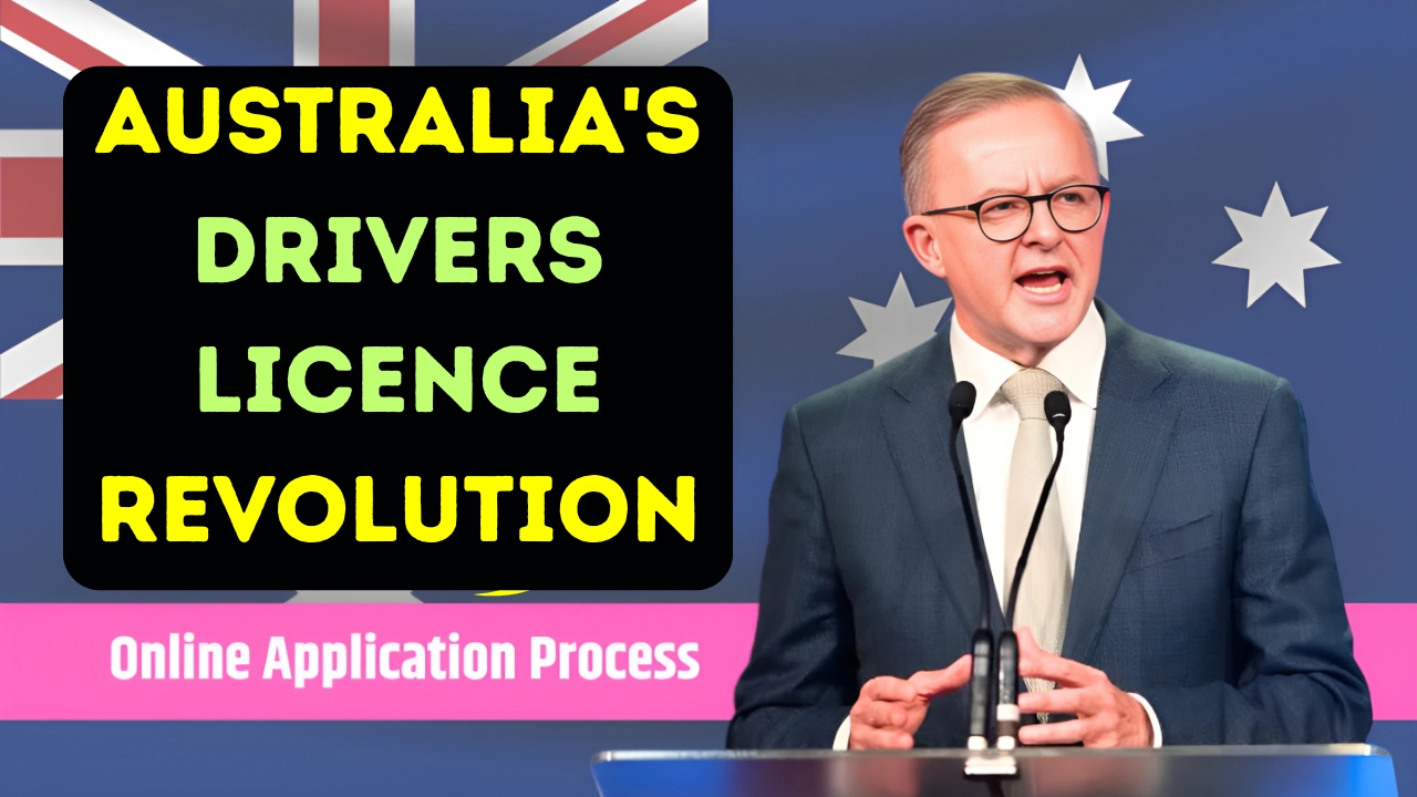 Drivers Licence Revolution